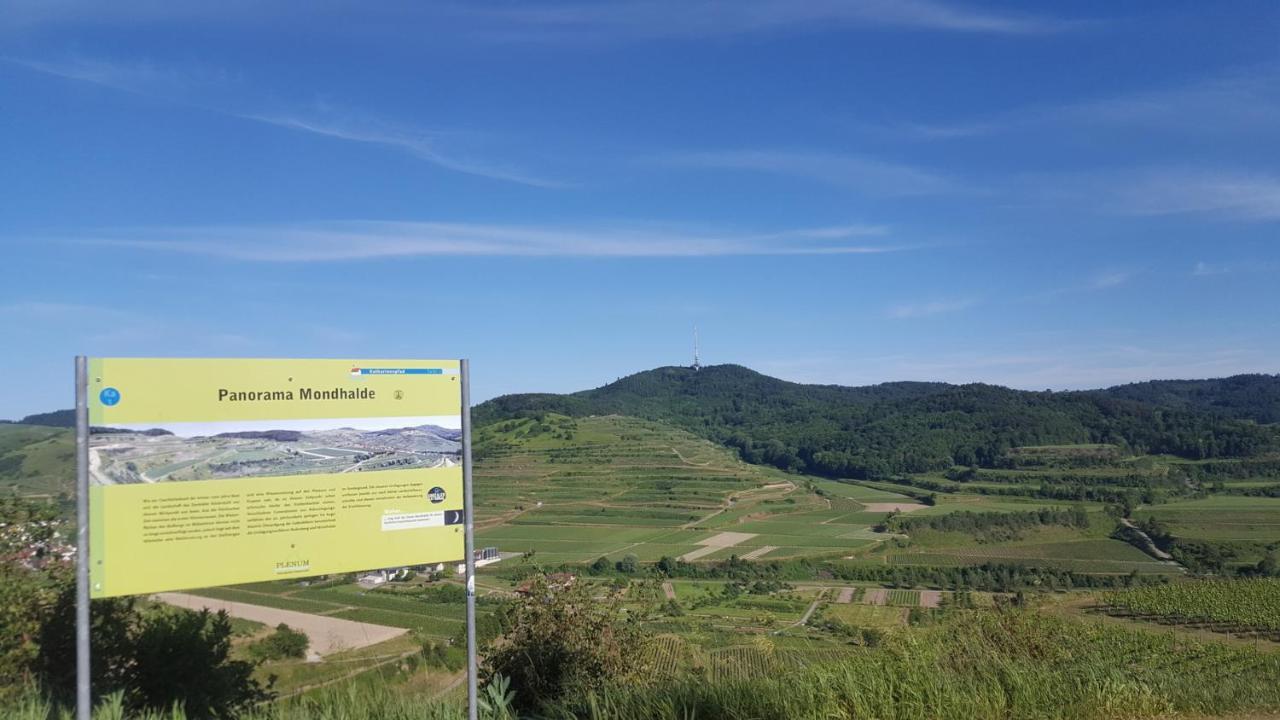 Gaestehaus Casa Luna - Paradiesische Ferienwohnungen Am Kaiserstuhl! Bischoffingen Ngoại thất bức ảnh