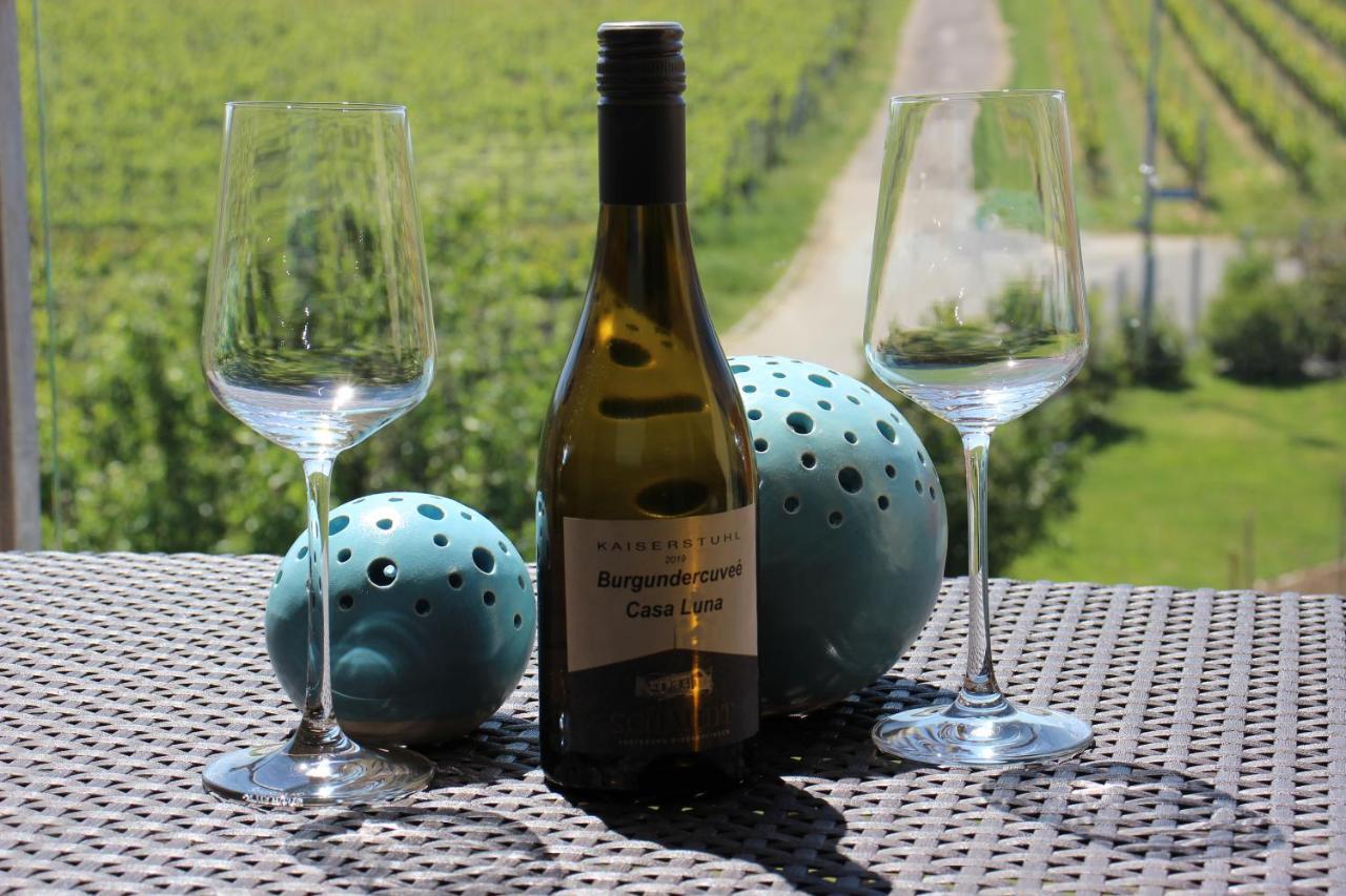 Gaestehaus Casa Luna - Paradiesische Ferienwohnungen Am Kaiserstuhl! Bischoffingen Ngoại thất bức ảnh