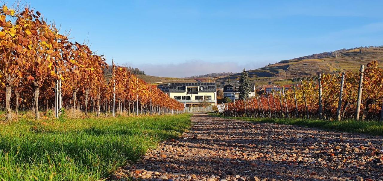 Gaestehaus Casa Luna - Paradiesische Ferienwohnungen Am Kaiserstuhl! Bischoffingen Ngoại thất bức ảnh