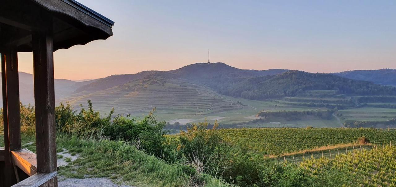 Gaestehaus Casa Luna - Paradiesische Ferienwohnungen Am Kaiserstuhl! Bischoffingen Ngoại thất bức ảnh
